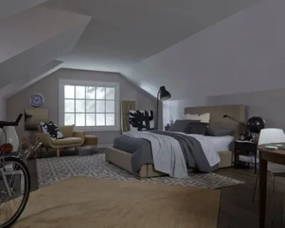 Dormer_Skylight_Installation_long_island_before